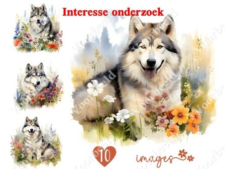 Diamond Painting interesse onderzoek