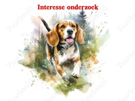 Diamond Painting interesse onderzoek