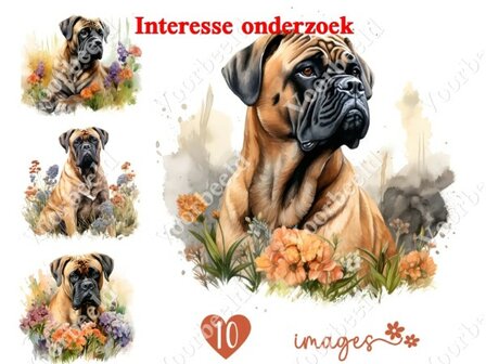 Diamond Painting interesse onderzoek