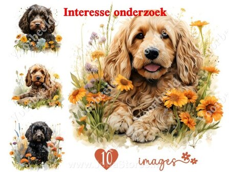 Diamond Painting interesse onderzoek