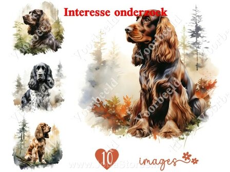 Diamond Painting interesse onderzoek