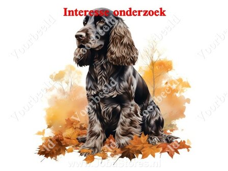 Diamond Painting interesse onderzoek