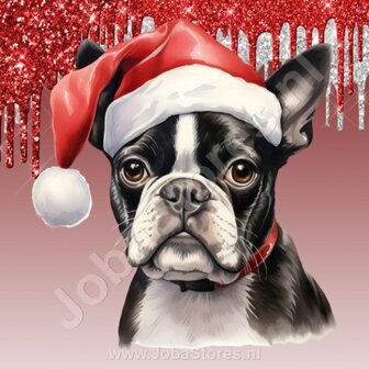 Diamond Painting Bostonterrier met Kerstmuts