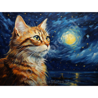 Diamond Painting Sterrennacht Kat 