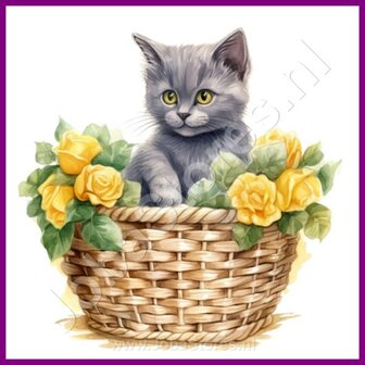 Diamond Painting Kitten in mand