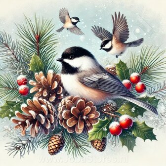 Diamond Painting Weihnachtsvogel - Meise