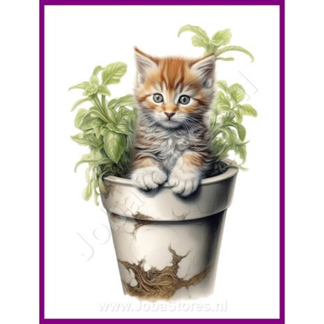 Diamond Painting Kitten in plantenpot